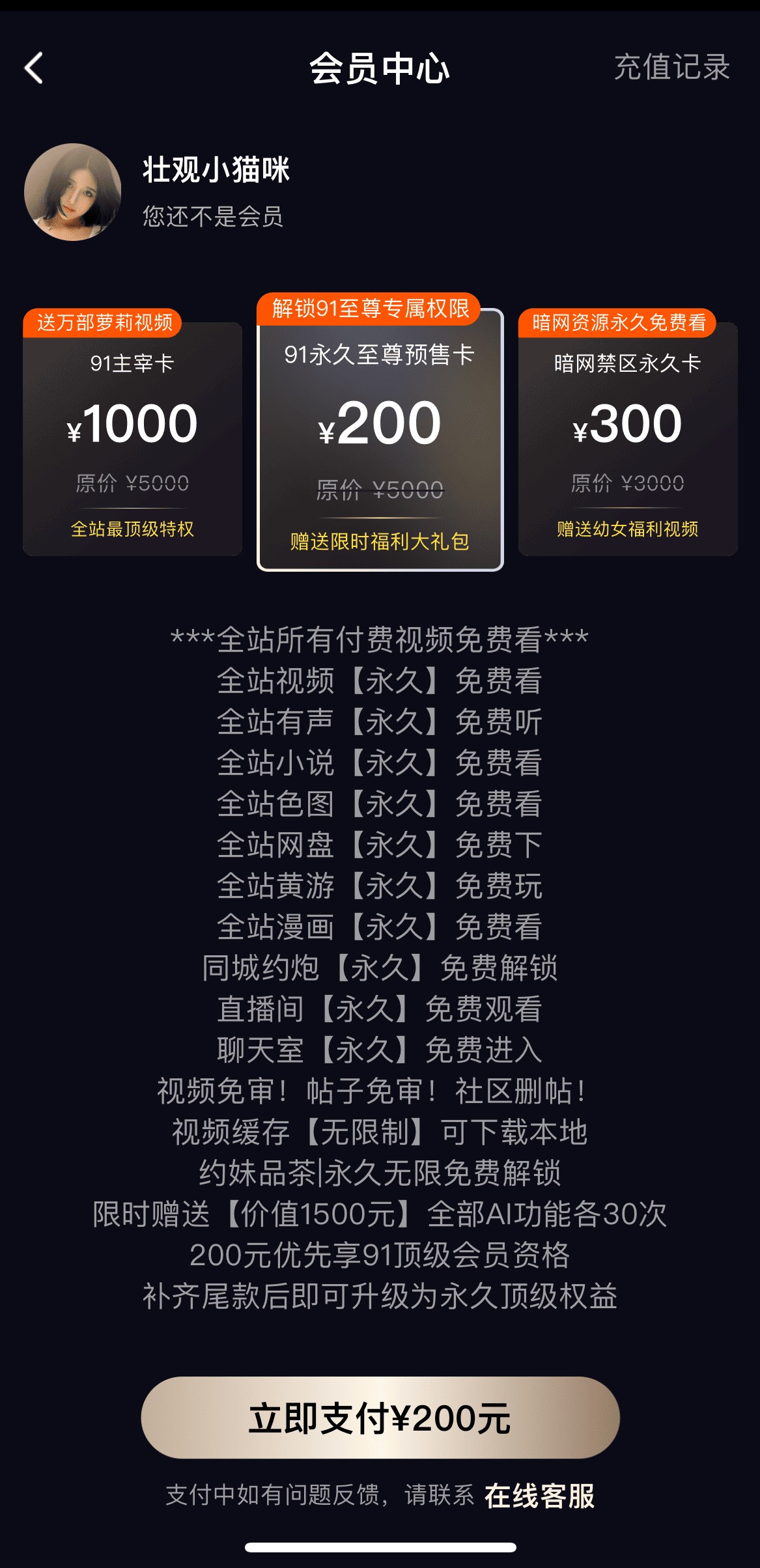 91PO会员中心套餐权益与立即支付入口页面